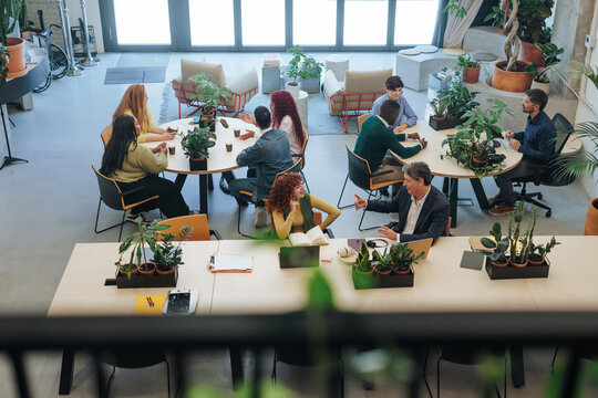 Diverse businesspeople collaborating in modern green office space