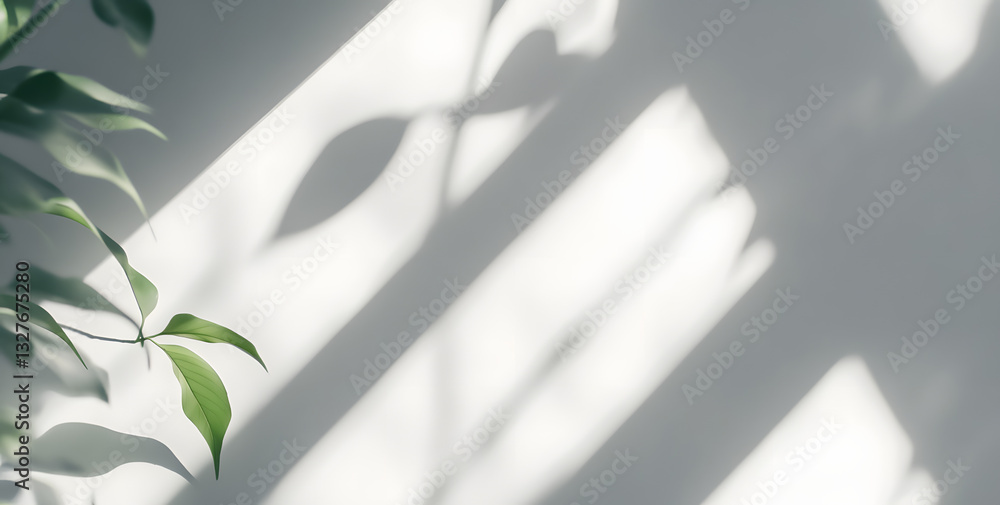 Aufkleber soft shadows overlay of leaves through a window on a wall. isolated brush on transparent background.