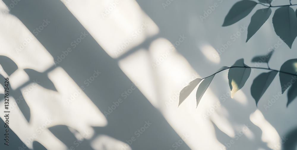 Poster soft shadows overlay of leaves through a window on a wall. isolated brush on transparent background.
