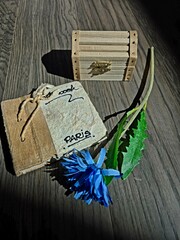 Vintage Charm: Flowers, Brushes, and Secrets Untold