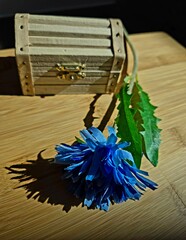 Silent Elegance: A Blue Flower and a Tiny Jewelry Box