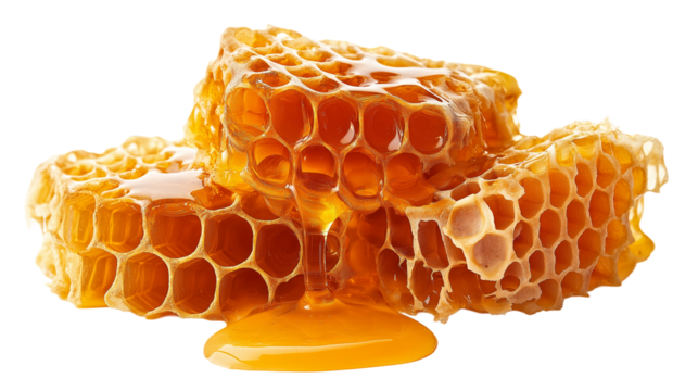 honeycomb isolated on white background , transparent png