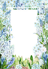 Watercolor illustration of spring frame with white and blue hyacinths, proles, muscari and other flowers. Delicate floral design with greenery, perfect for wedding and holiday invitations, cards and