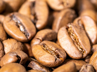 coffee beans close up macro