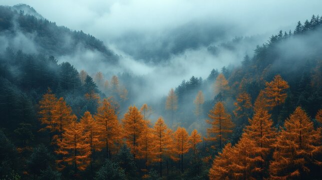 misty mountains, showcasing an awe-inspiring panorama of a lush forest shrouded in a ethereal haze