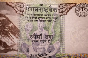A macro shot of a Nepalese 10 Rupee banknote showcasing a detailed engraving of a blackbuck antelope against a green background. The note highlights Nepal's wildlife and intricate design.