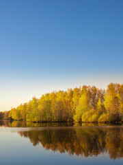 Serene lake with a forest in the background