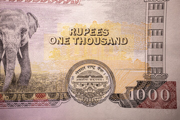 A macro shot of a Nepalese rupees 1000 banknote featuring intricate details, including an elephant,...