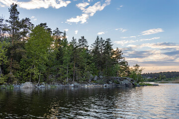Obraz premium A calm lake with a forest in the background