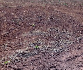 Images of plowed land, agriculture, plantation in Goiás, Brazil