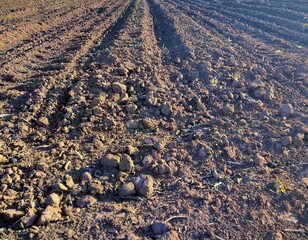 Images of plowed land, agriculture, plantation in Goiás, Brazil