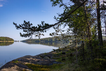 A beautiful lake with a tree in the foreground
