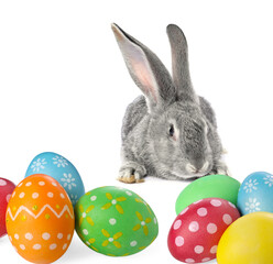 Cute fluffy rabbit and colorful Easter eggs isolated on white