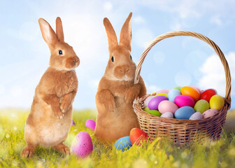 Easter celebration. Fluffy rabbits and wicker basket with painted eggs on green grass under spring sky
