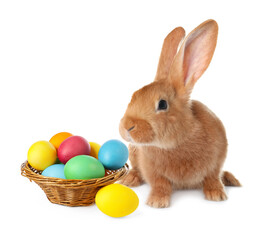 Cute fluffy rabbit and colorful Easter eggs isolated on white