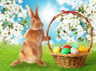 Easter eggs in wicker basket and cute fluffy rabbit on green grass under blooming spring trees