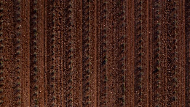 This rich brown textured surface showcases intricate and exquisite patterns ideal for various design projects