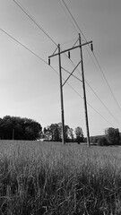 power lines on the road
