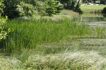 LAGO DE GENOS LONDEVILLE. FRANCIA