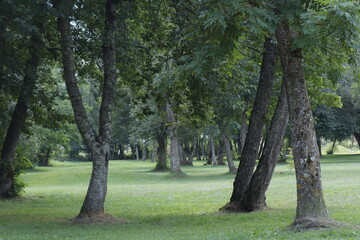 LAGO DE GENOS LONDEVILLE. FRANCIA