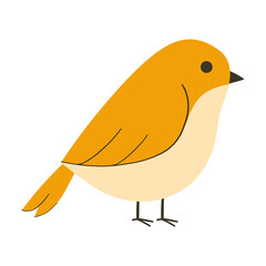 Orange bird vector illustration