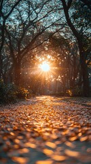 Golden autumn sunlight in a forest pathway
