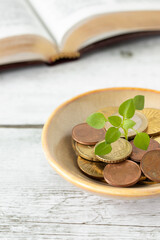 Green plant growing from coins with holy bible book in the background. Christian tithing, offering, and blessing from God Jesus Christ, biblical concept.