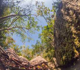 Scenic cenote in Xcaret park surrounded by lush jungle. Natural beauty, eco-tourism, and adventure travel concept in Quintana Roo, Mexico