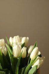 Naklejka premium bouquet of white tulips
