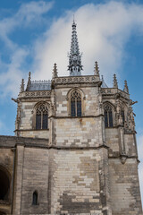 Fototapeta premium The old medieval castle of Amboise (15th century) in the Loire Valley on the Loire River. Amboise, Indre et Loire, France.