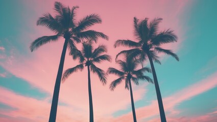 Obraz premium Look up at the silhouette of palm trees against the sky, with a vintage filter effect and pastel color tones.