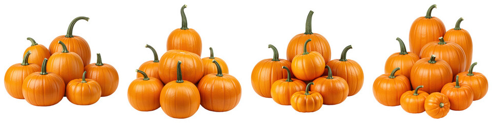 Obraz premium Set of Pumpkin Assortment