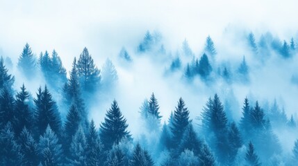 Fototapeta premium Tranquil Misty Forest Landscape with Pine Trees and Fog