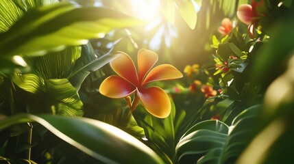 Obraz premium Vibrant Flower in Tropical Jungle Under Soft Sunlight Rays