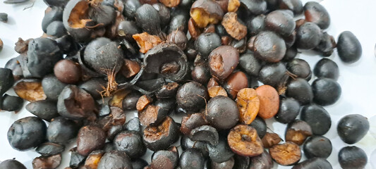 Palm kernal seeds with uncracked kernals and thick shells	

