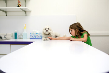 Girl reassuring her dog at the vet