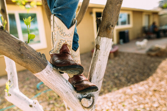 Closeup of little boy's cowboy boots climbing tree