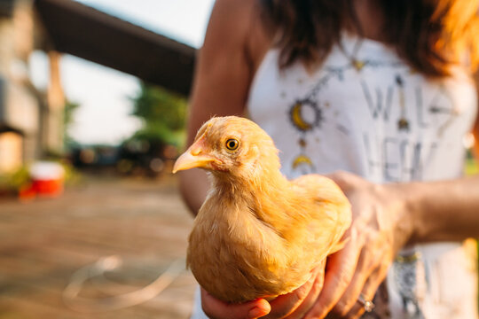 Woman Holding her Chicken