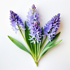 A bouquet of purple flowers with green stems