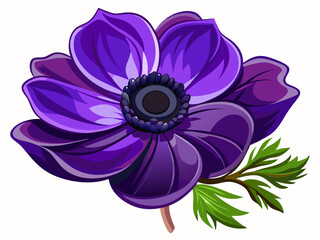 vector of  dark purple color anemone flower isolated on transparent white background, overlay, stem