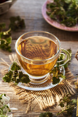 Stinging nettle tea in a glass cup