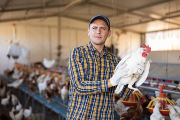 Portrait of successful skilled chicken breeder standing in henhouse with white laying hen in hands..