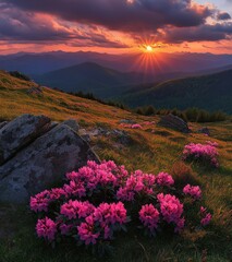 Obraz premium Breathtaking Sunset Over Mountain Valley with Vibrant Pink Flowers and Rolling Hills Under Dramatic Skies