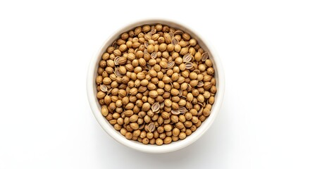 Fragrant Coriander Seeds in a Bowl Displaying Culinary Essence and Simplicity
