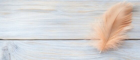 Serene Single Peach Feather on Rustic Wooden Background