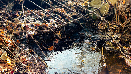 macro close-up of a metal drain pipe grate with leaves for stormwater runoff. erosion land management landscape background