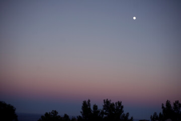 moon in the sky