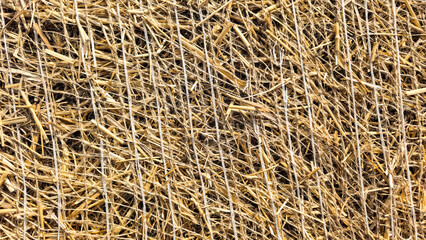 close-up of erosion control mat to cover seeds to stabilize soil and seed growth environment...