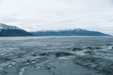 Obraz premium Turnagain Arm Mudflats in Kenai Fjords National Park