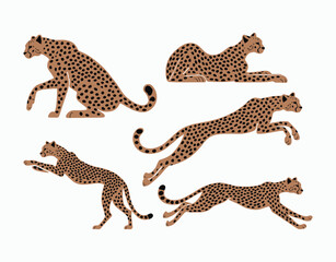 Obraz premium Elegant Cheetah Silhouette Collection Isolated Template